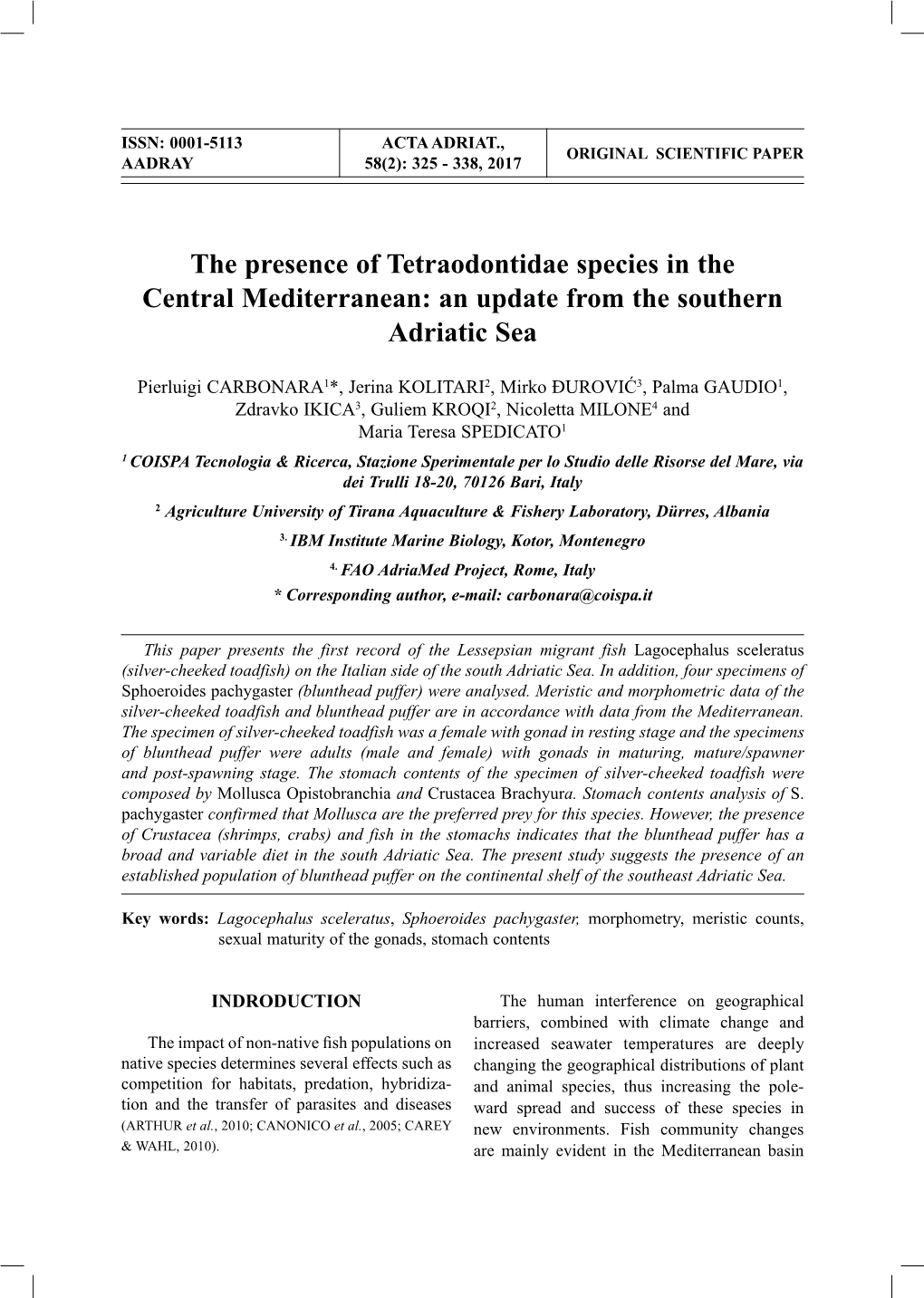 The Presence of Tetraodontidae Species in the Central Mediterranean: an Update from the Southern Adriatic Sea