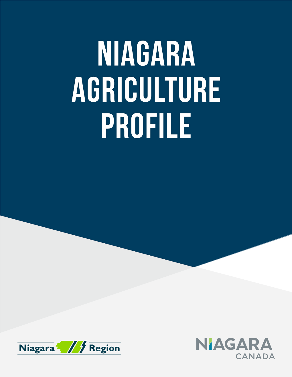 Niagara Agricultural Profile