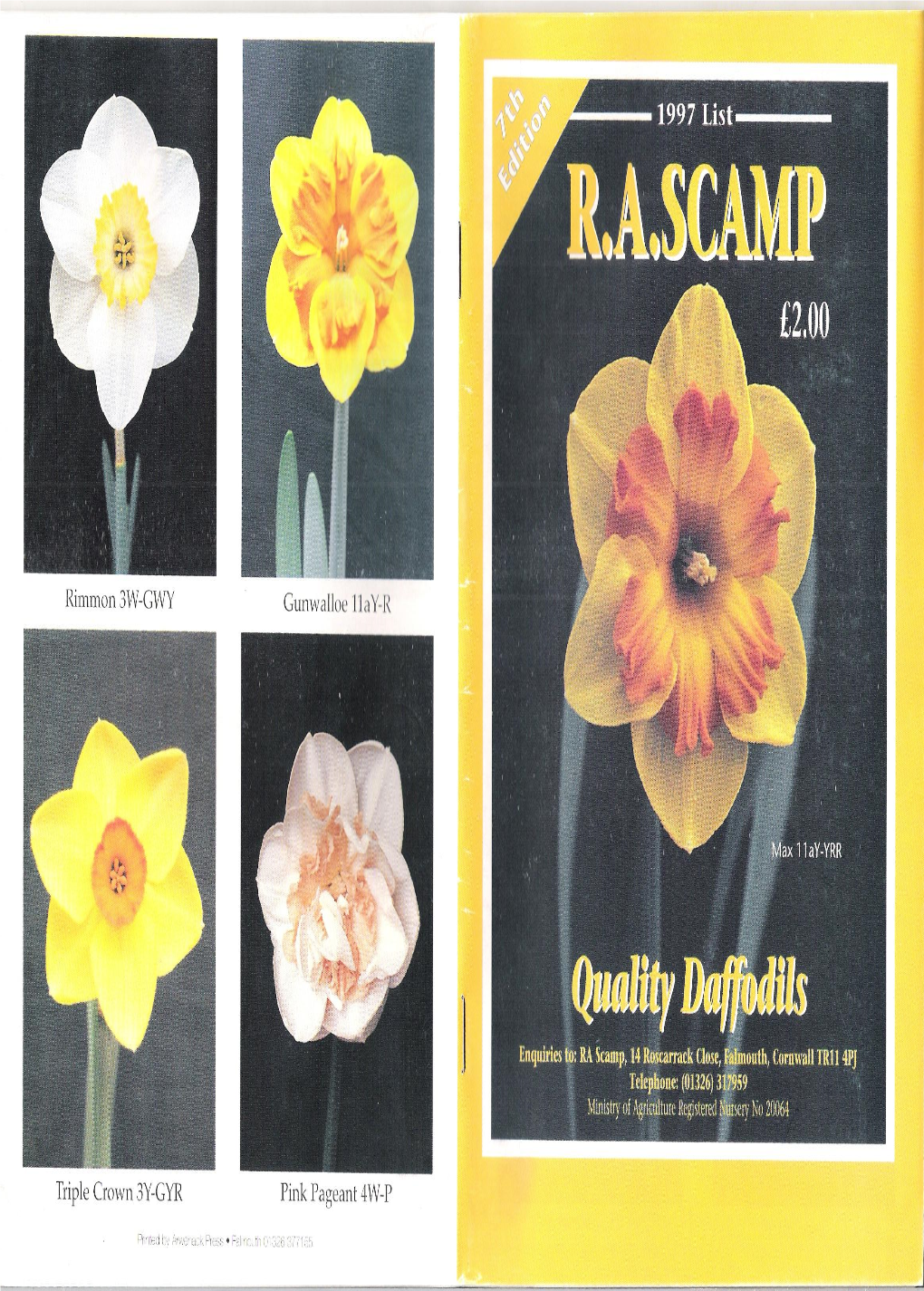 R. A. Scamp Quality Daffodils 1997