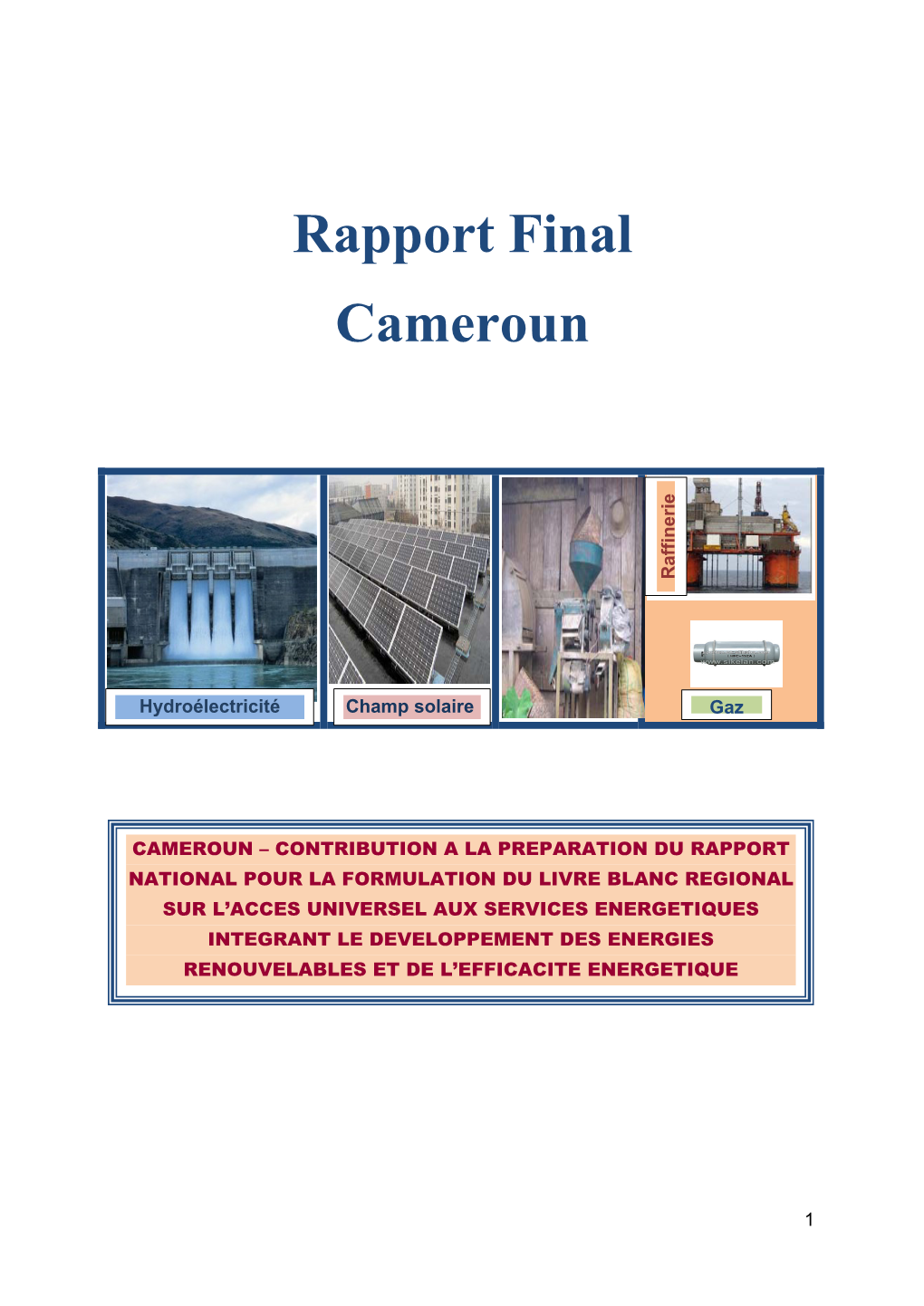 Rapport Final Cameroun