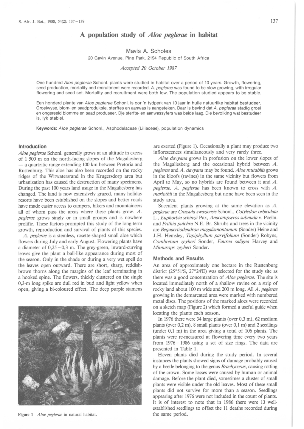 A Population Study of Aloe Peglerae in Habitat