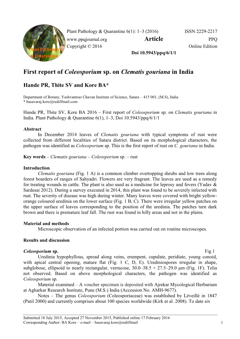 First Report of Coleosporium Sp. on Clematis Gouriana in India Article