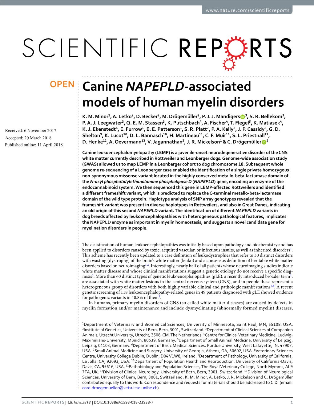 Canine NAPEPLD-Associated Models of Human Myelin Disorders K