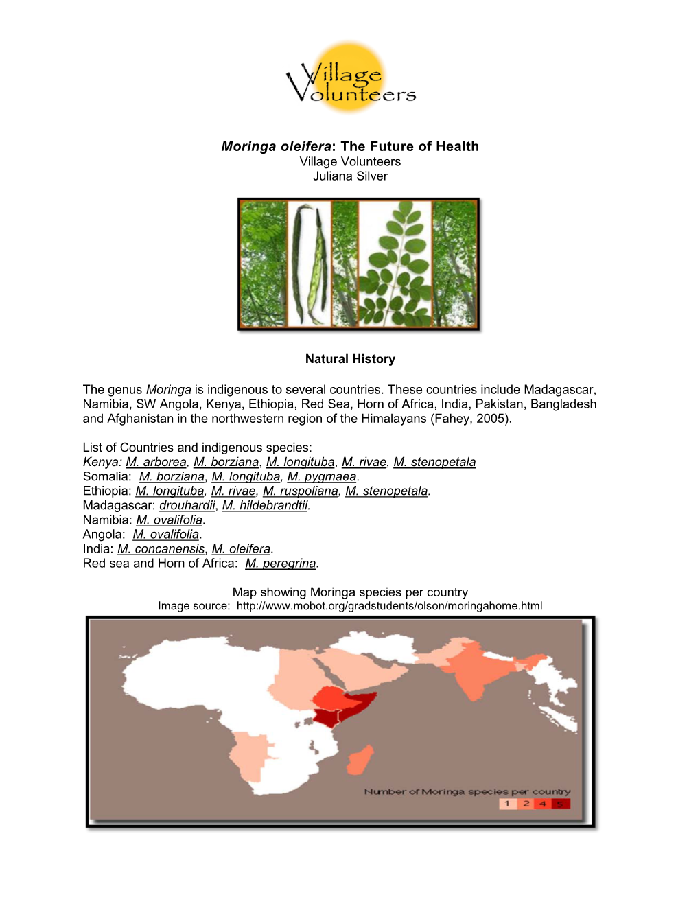 Moringa Oleifera: the Future of Health Village Volunteers Juliana Silver