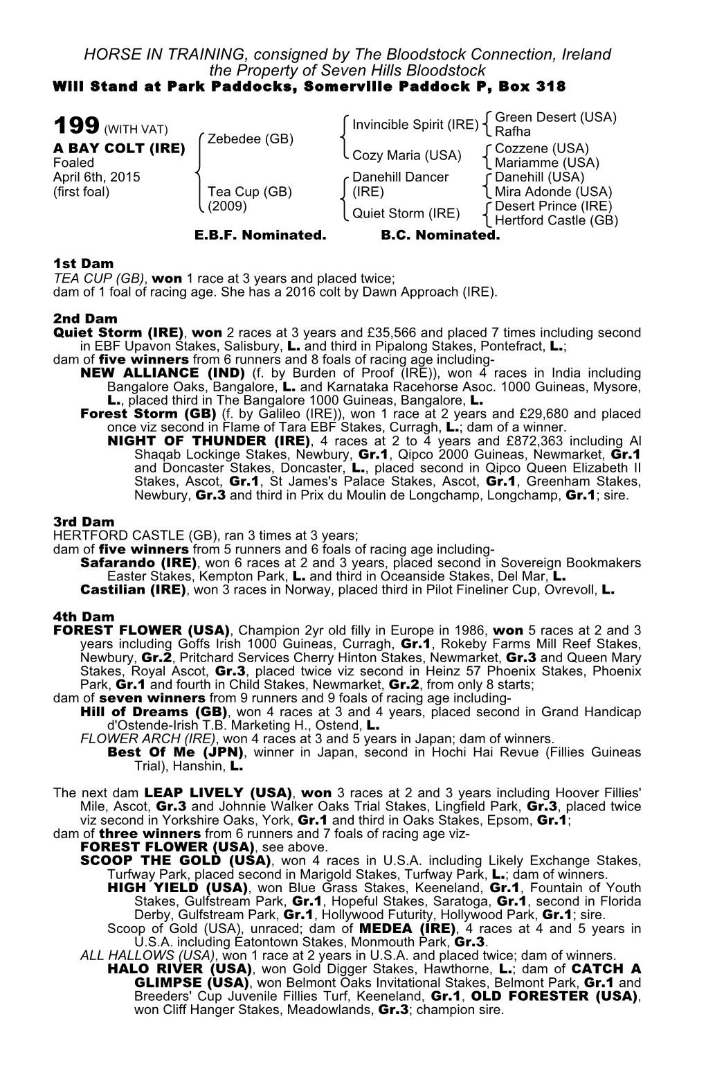 HORSE in TRAINING, Consigned by the Bloodstock Connection, Ireland the Property of Seven Hills Bloodstock Will Stand at Park Paddocks, Somerville Paddock P, Box 318