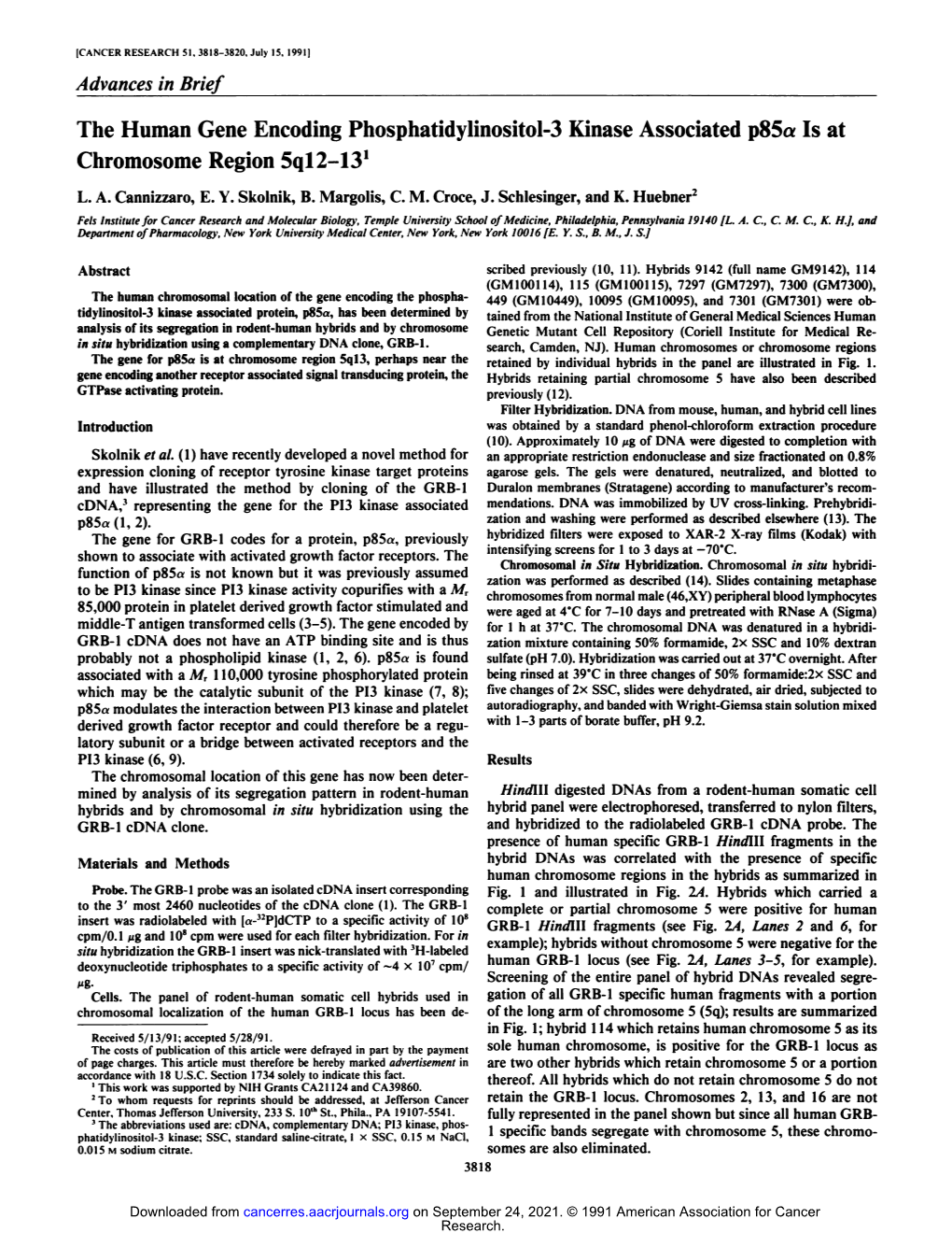 The Human Gene Encoding Phosphatidylinositol-3 Kinase Associated P85a Is at Chromosome Region 5Ql2-13'