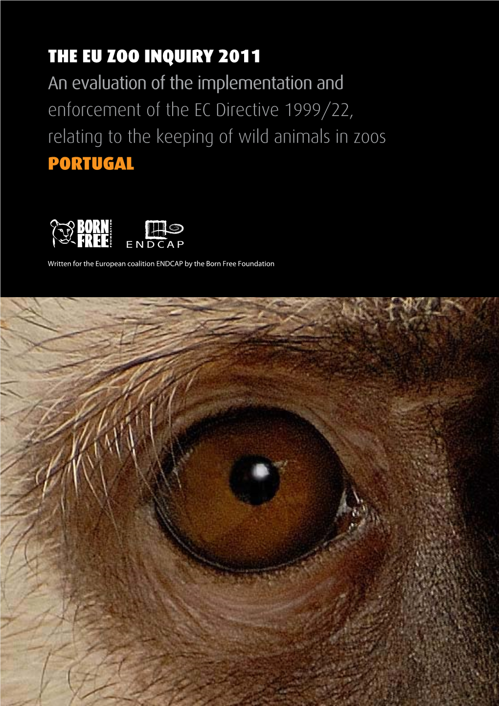 PORTUGAL Zoo Report FINAL