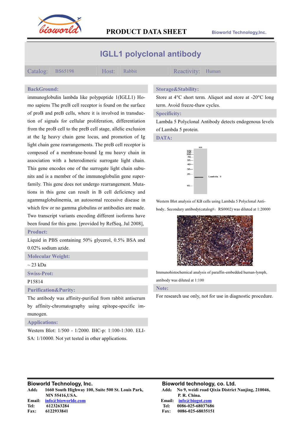 IGLL1 Polyclonal Antibody