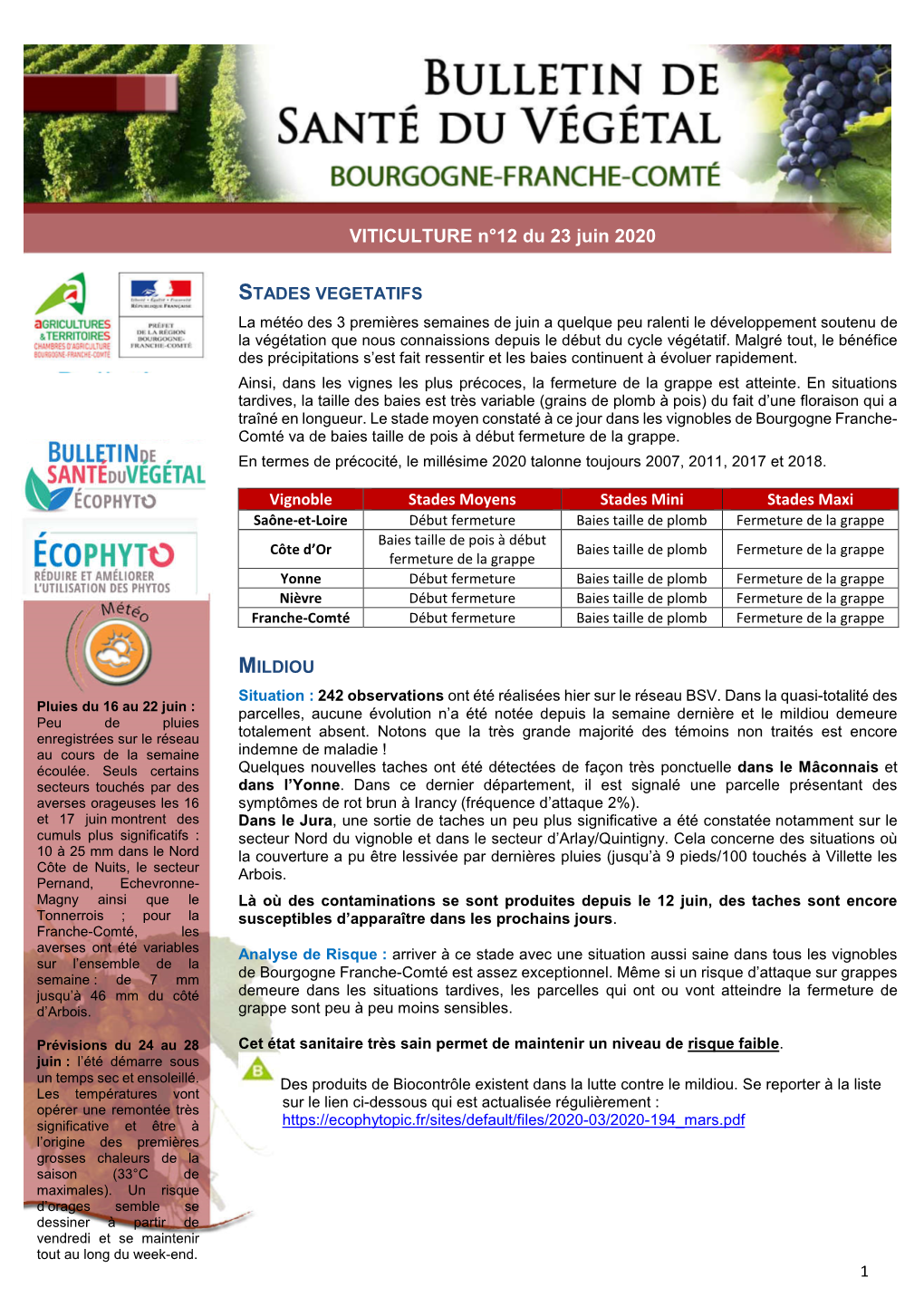 VITICULTURE N°12 Du 23 Juin 2020