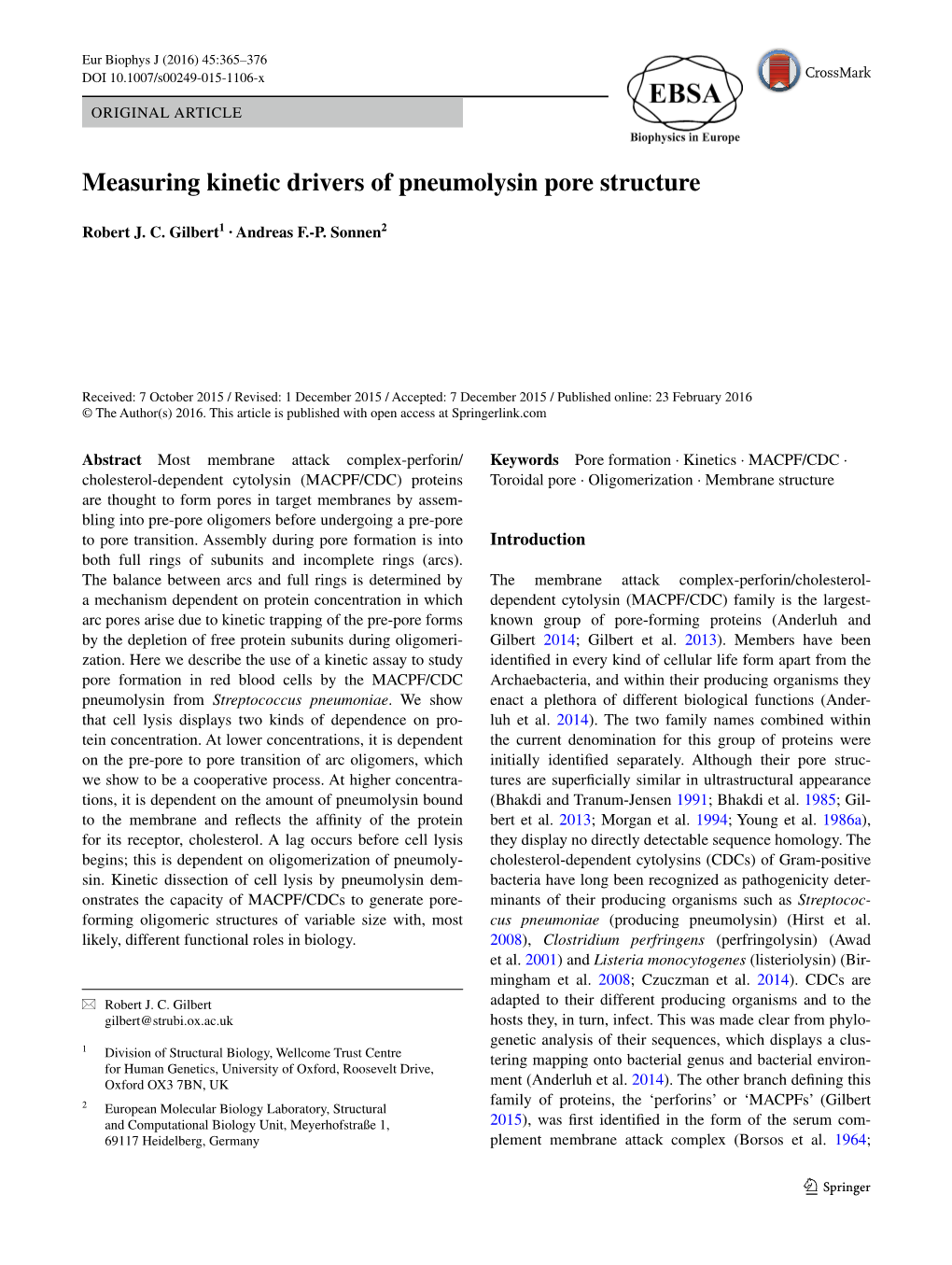 Measuring Kinetic Drivers of Pneumolysin Pore Structure