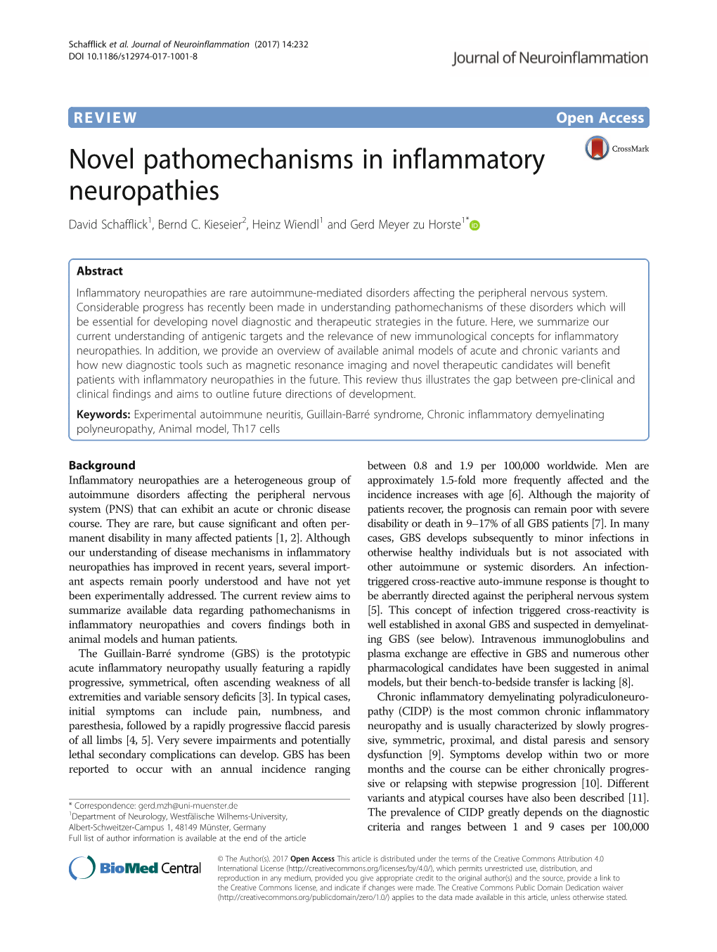 Novel Pathomechanisms in Inflammatory Neuropathies David Schafflick1, Bernd C