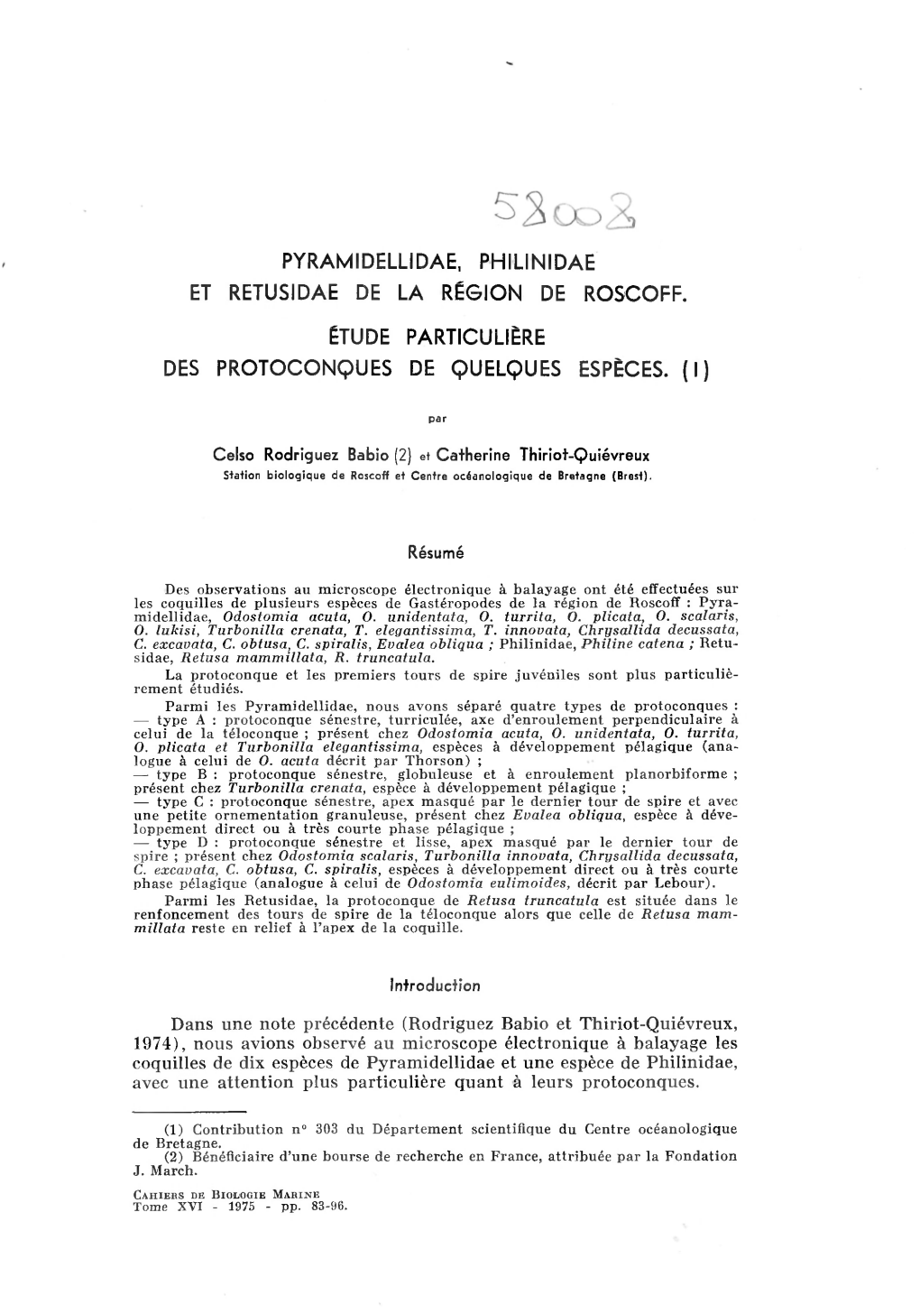 Pyramidellidae, Philinidae Et Retusidae De La Région De