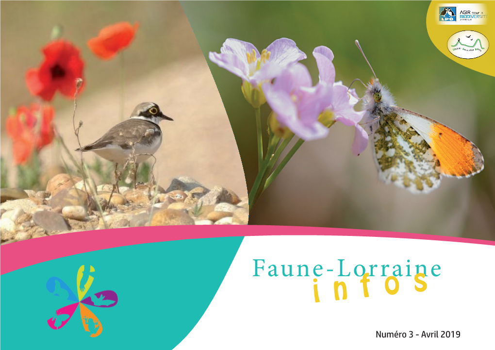 Faune-Lorraine Infos