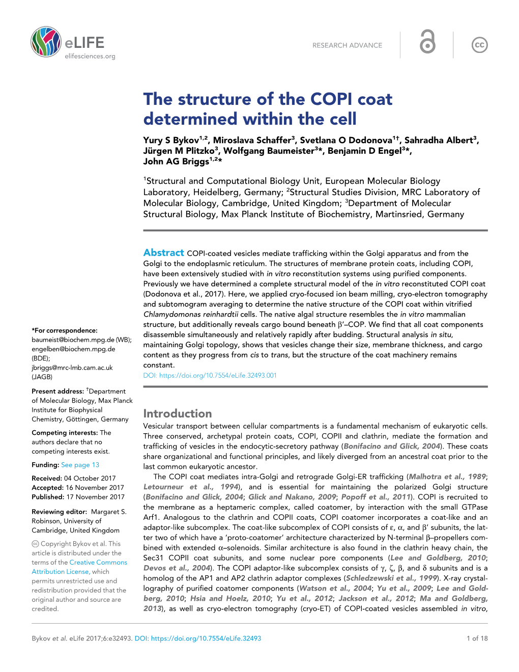 The Structure of the COPI Coat Determined Within the Cell