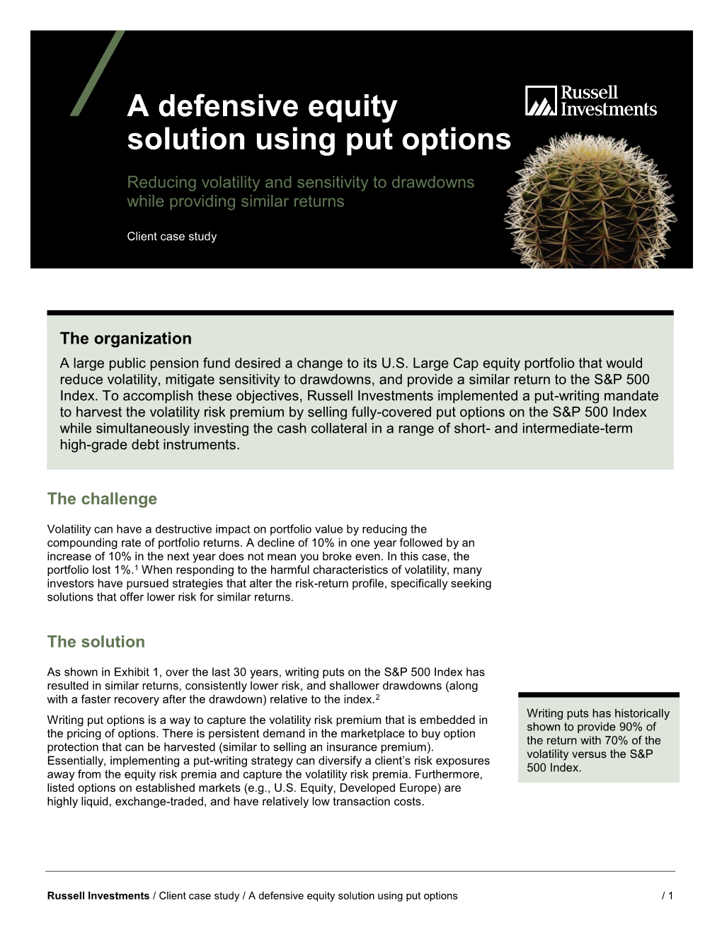 A Defensive Equity Solution Using Put Options