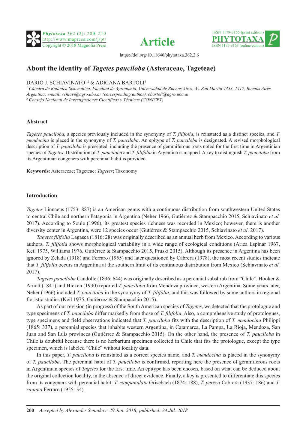 About the Identity of Tagetes Pauciloba (Asteraceae, Tageteae)