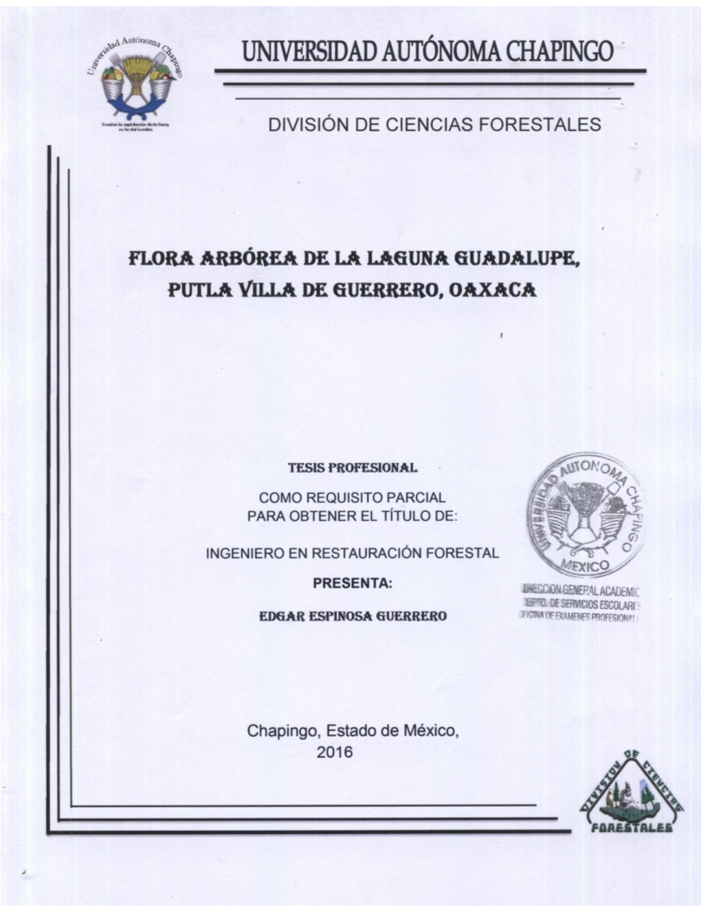 “Fora Arbórea De La Laguna Guadalupe, Putla Villa De Guerrero