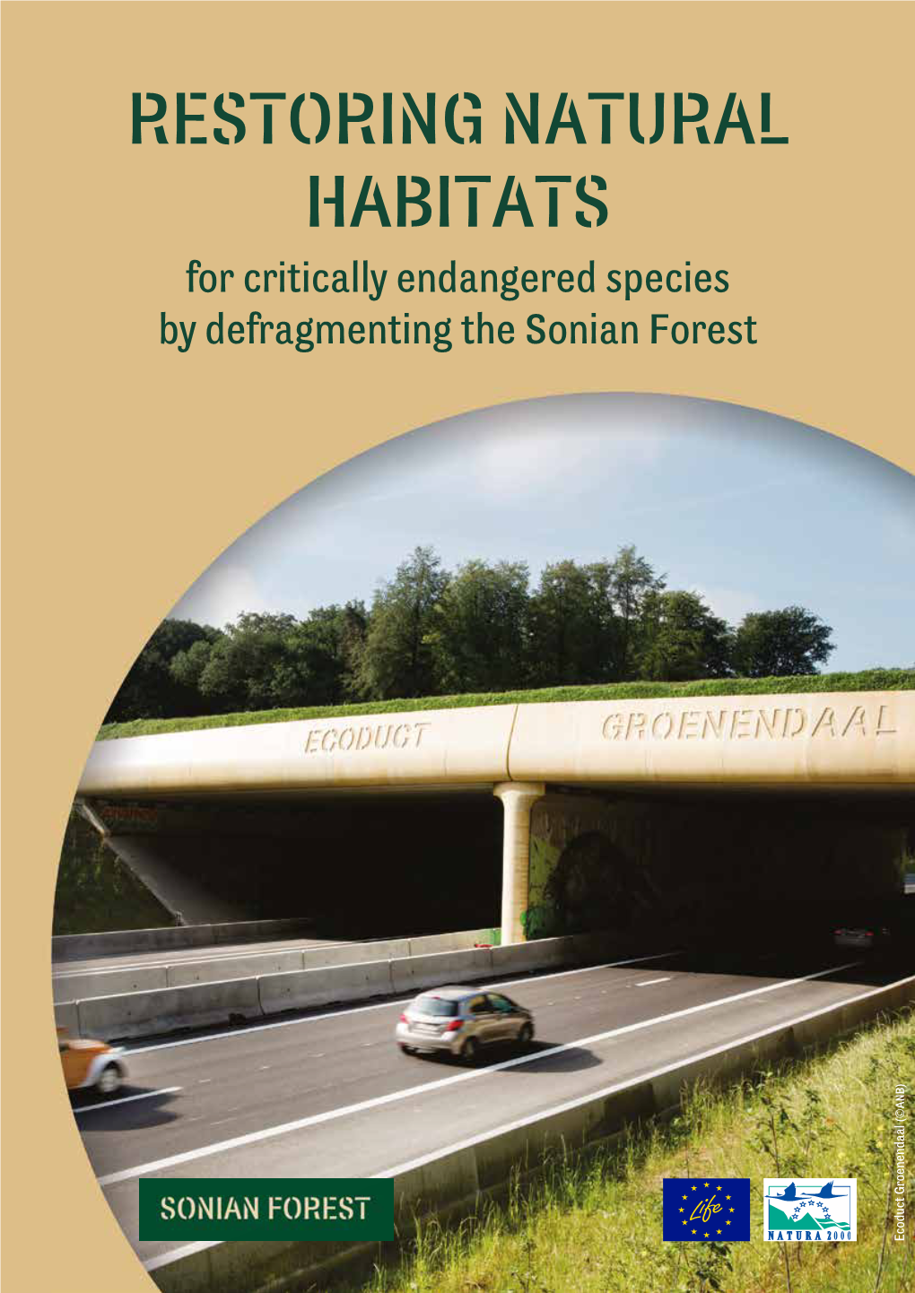 RESTORING NATURAL HABITATS for Critically Endangered Species by Defragmenting the Sonian Forest ( © ANB) Ecoduct Groenendaal Ecofence Next to R0 (©Life+OZON)