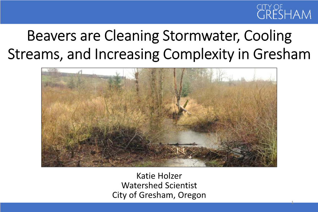 Beavers Are Cleaning Stormwater, Cooling Streams, and Increasing Complexity in Gresham