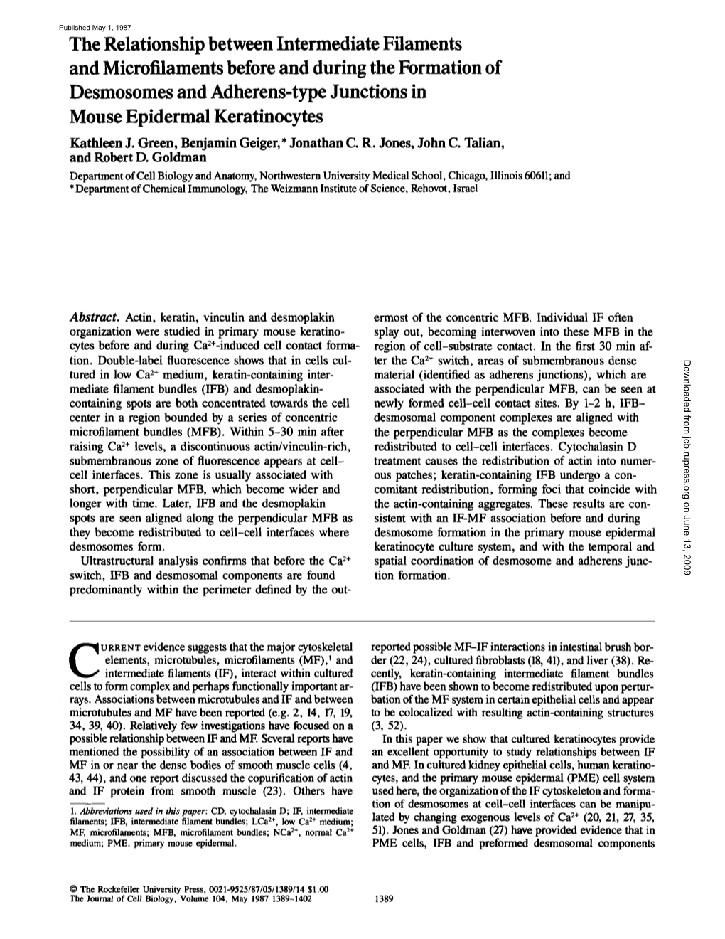 The Relationship Between Intermediate Filaments and Microfilaments Before and During the Formation of Desmosomes and Adherens-Ty