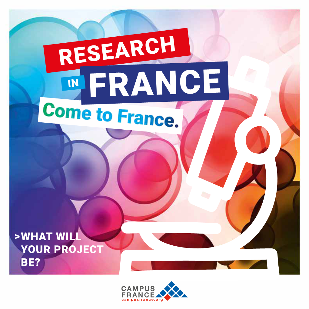 Research in France &gt; What Will Your Project