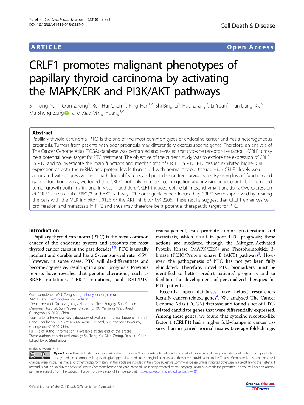 CRLF1 Promotes Malignant Phenotypes of Papillary Thyroid