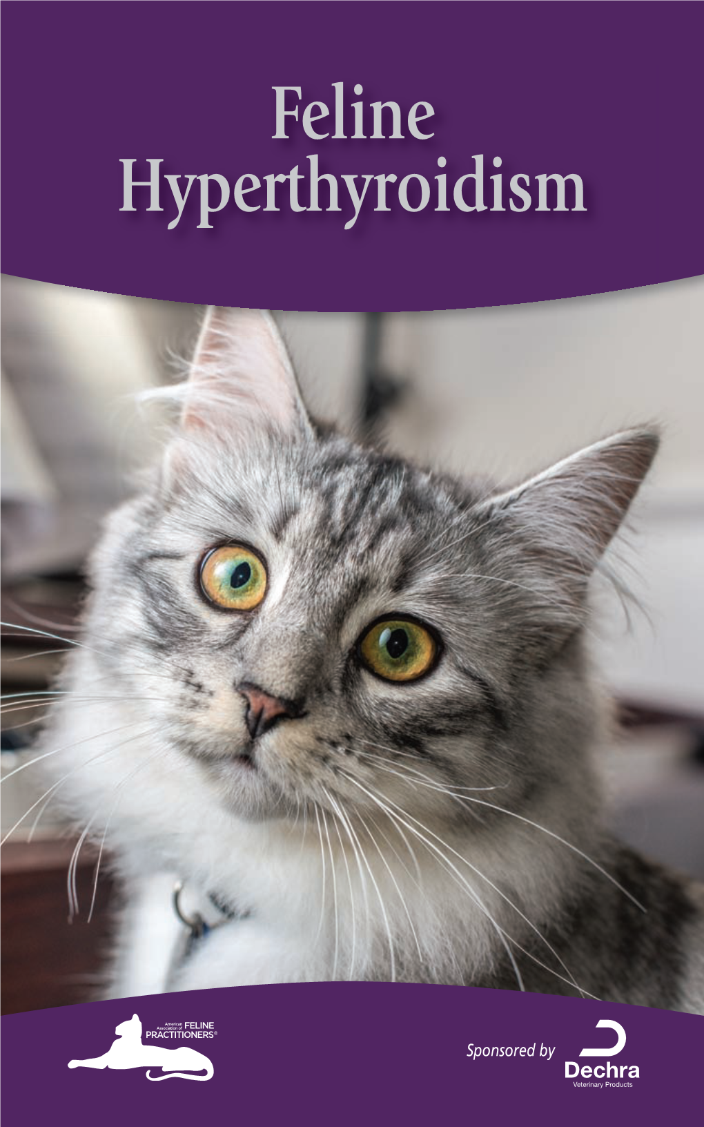 Feline Hyperthyroidism