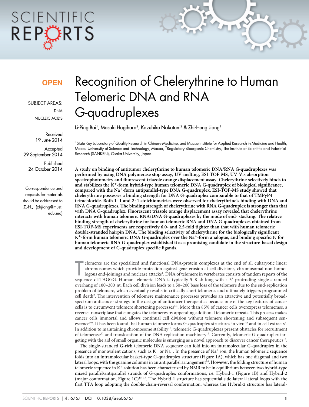 Recognition of Chelerythrine to Human Telomeric DNA and RNA G