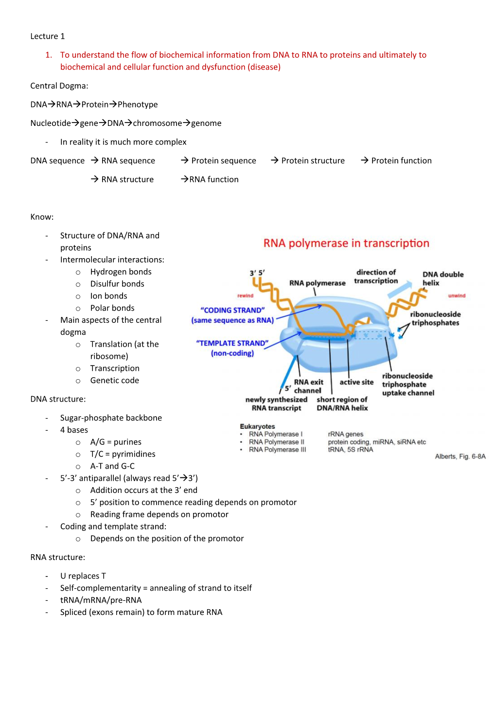 Lecture 1 1. to Understand the Flow of Biochemical Information from DNA to RNA to Proteins and Ultimately to Biochemical And