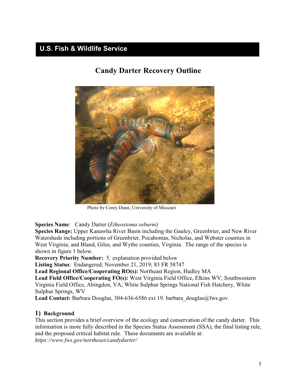 Candy Darter Recovery Outline