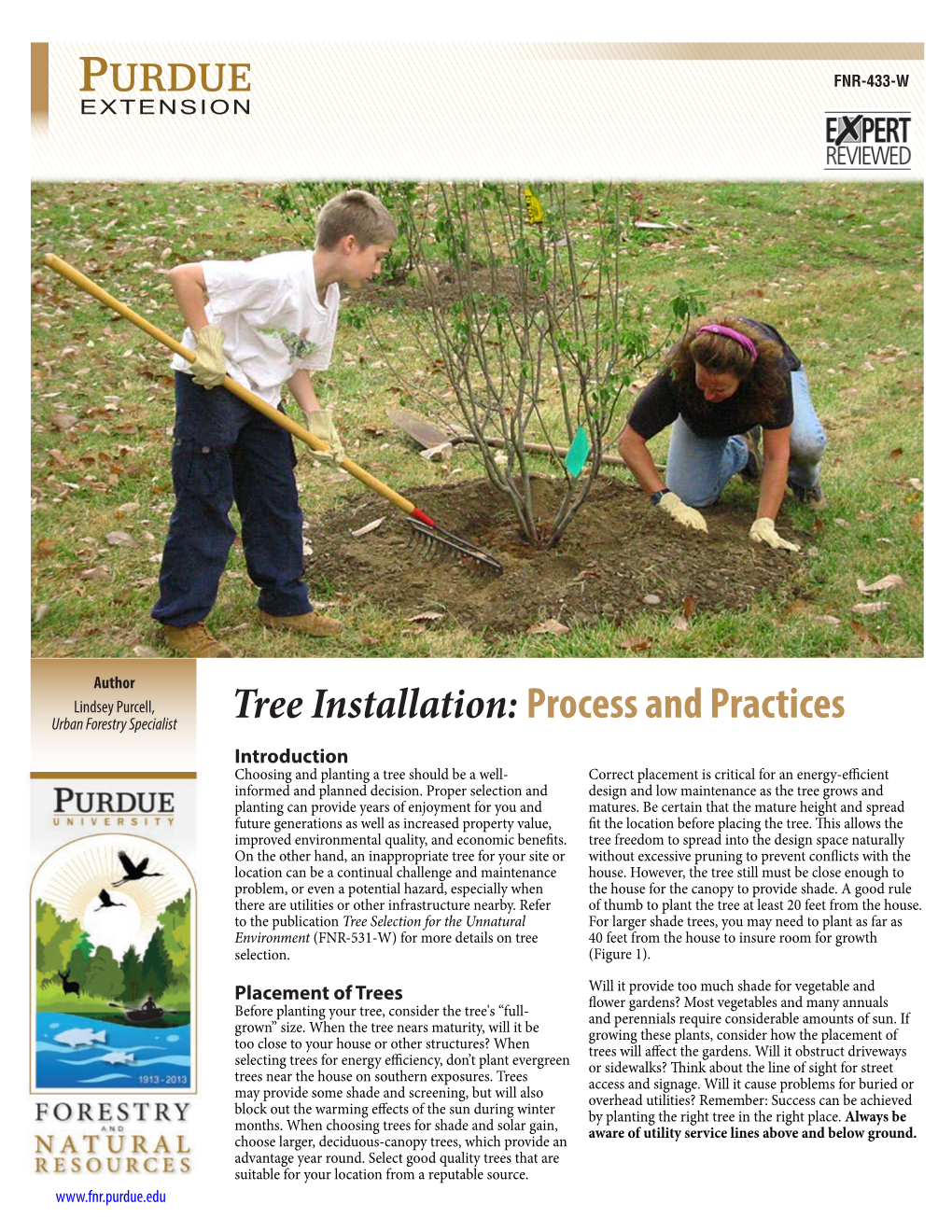 Tree Installation: Process and Practices