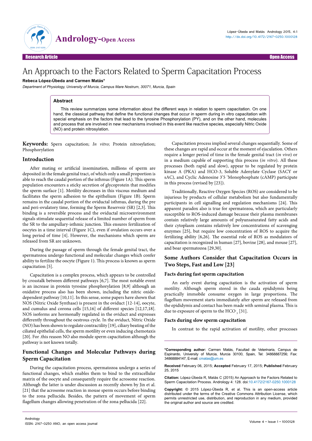 An Approach to the Factors Related to Sperm Capacitation Process