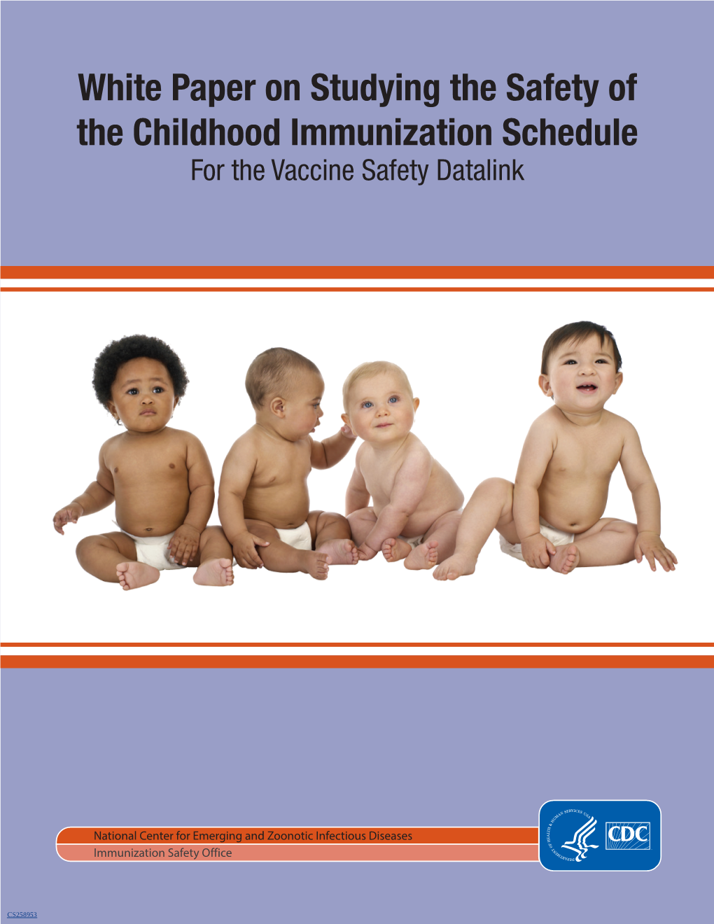 White Paper on Studying the Safety of the Childhood Immunization Schedule for the Vaccine Safety Datalink