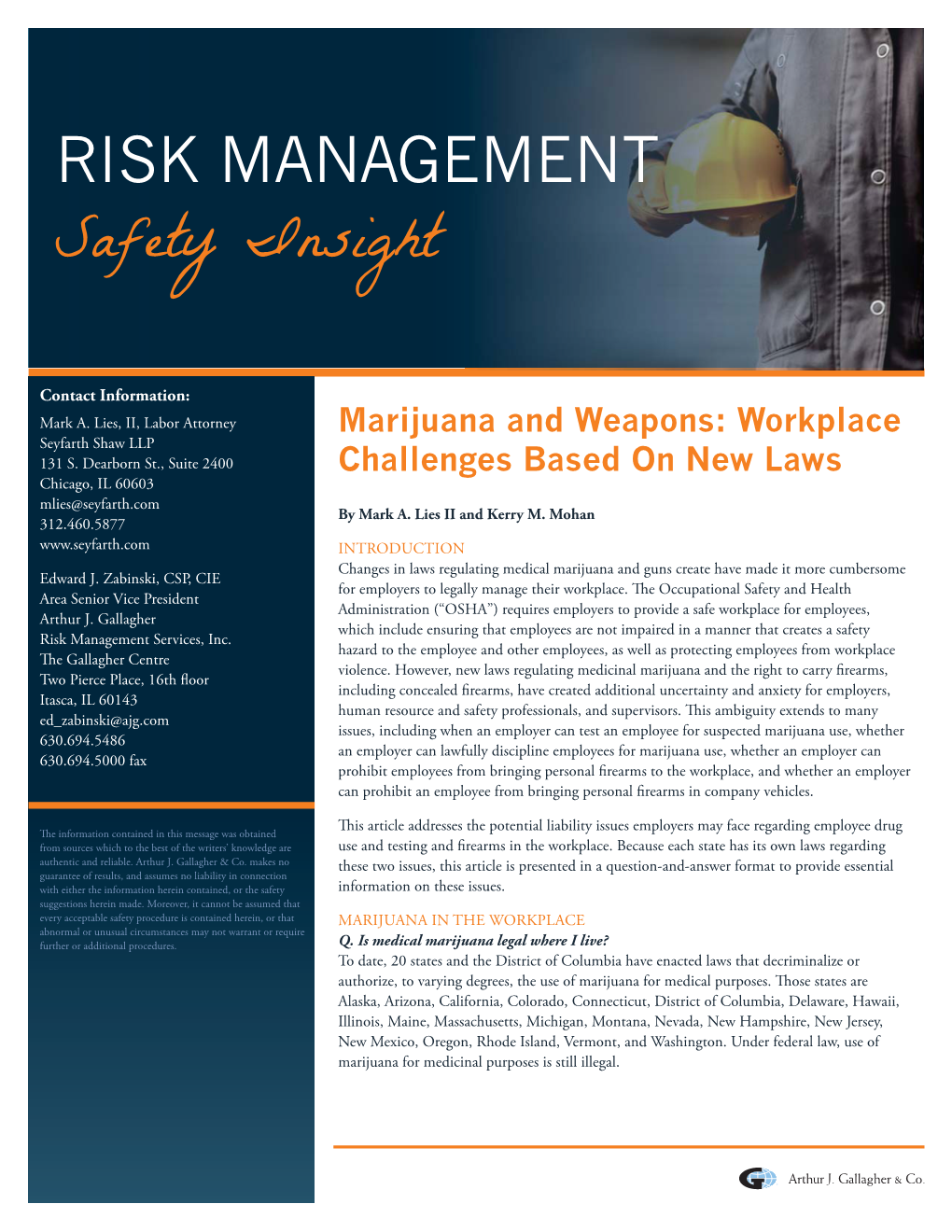 RISK MANAGEMENT Safety Insight