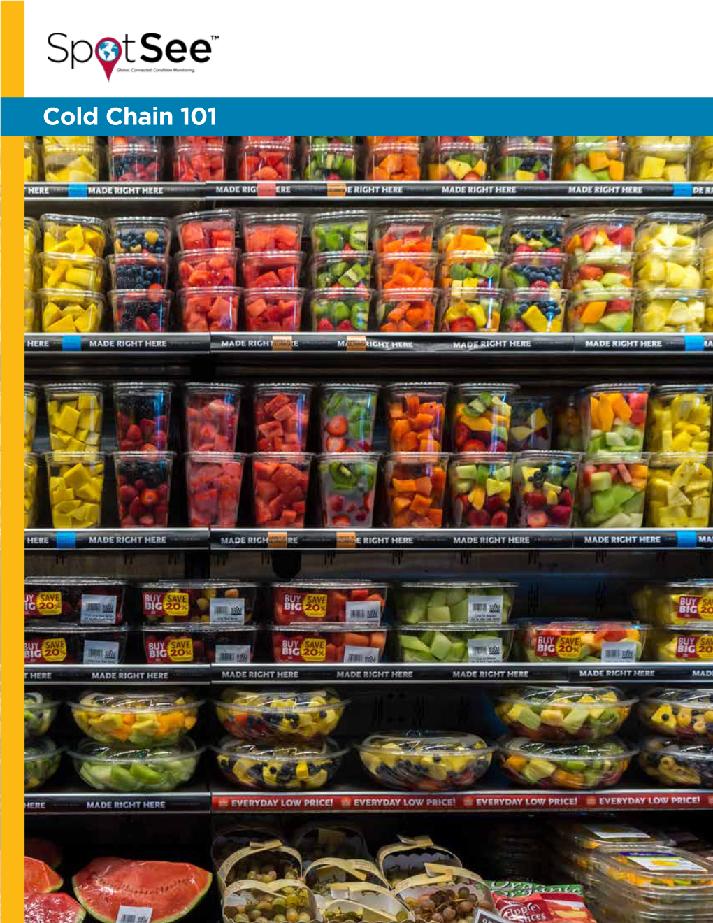 Cold Chain 101 Cold Chain 101