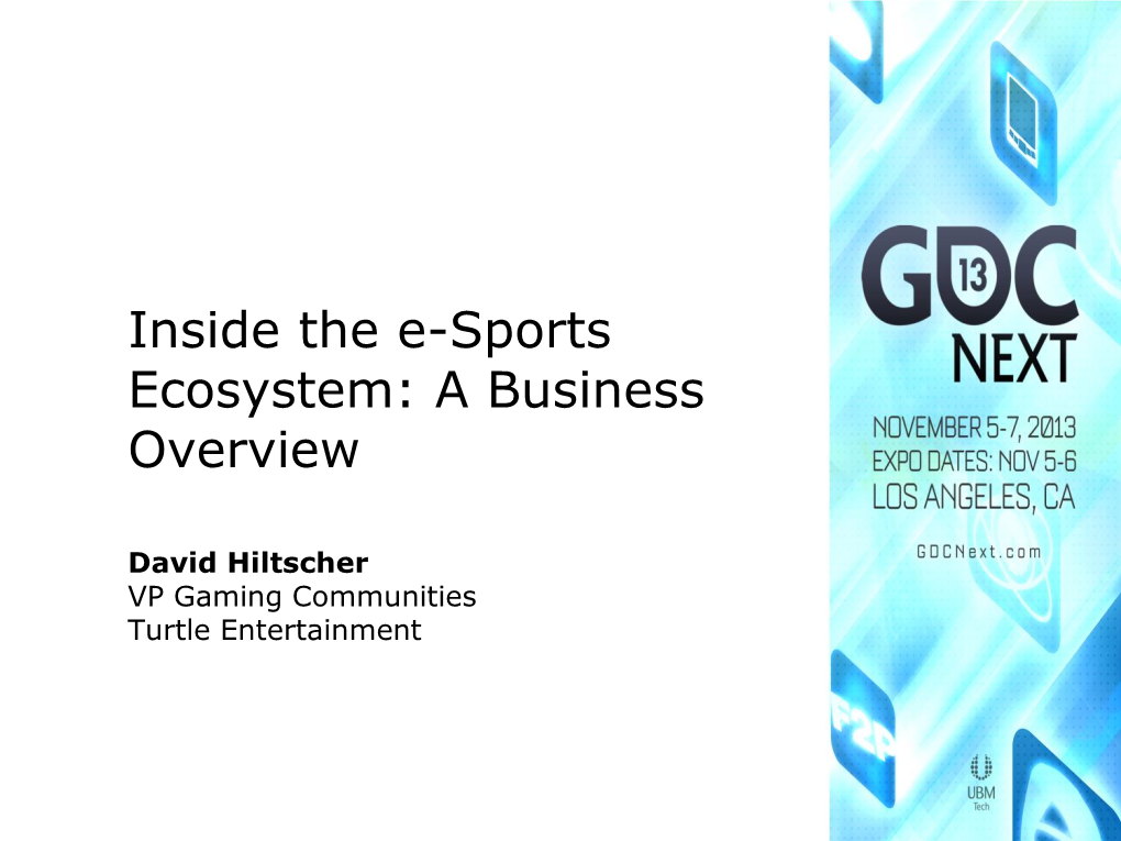 Inside the E-Sports Ecosystem: a Business Overview