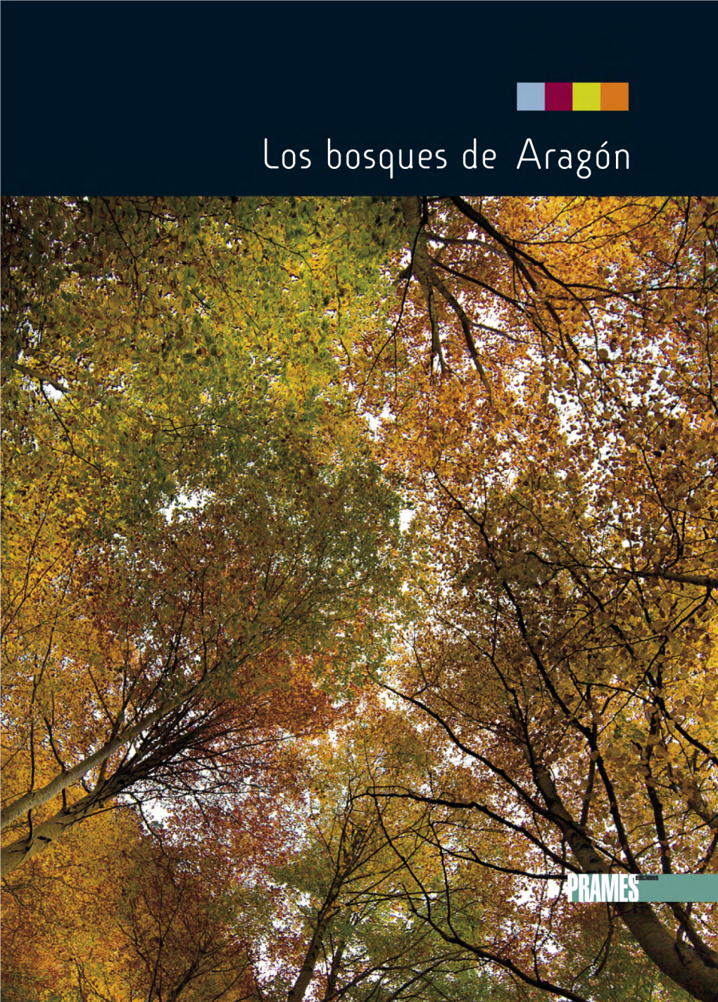 Los Bosques De Aragón