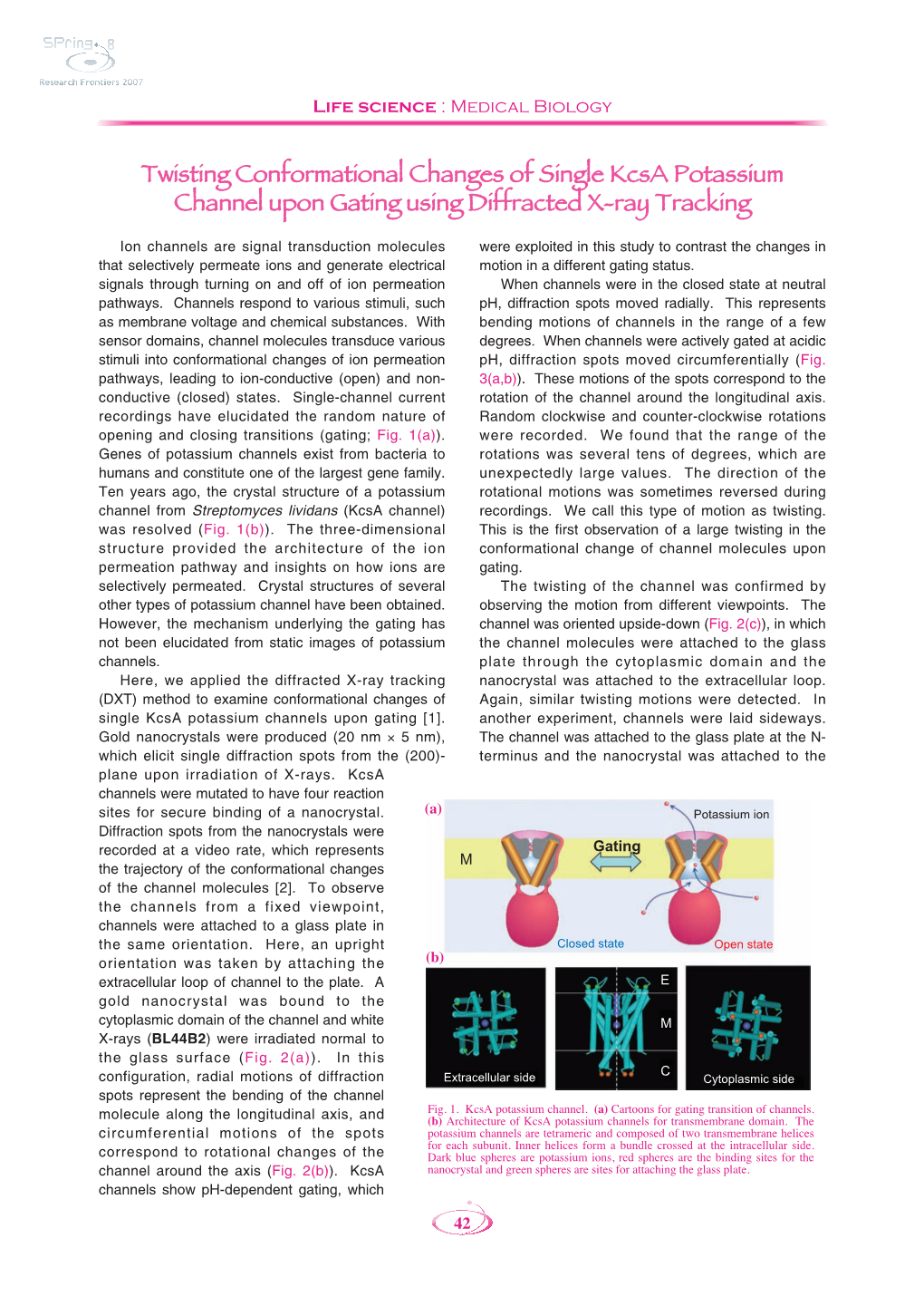 Twisting Conformational Changes of Single Kcsa Potassium Channel Upon Gating Using Diffracted X-Ray Tracking