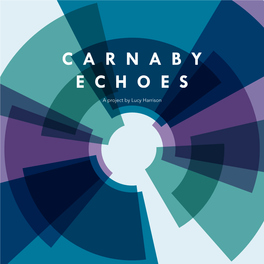 Learn More About Carnaby Echoes