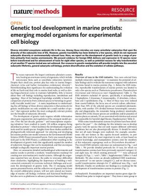 Genetic Tool Development in Marine Protists: Emerging Model Organisms for Experimental Cell Biology