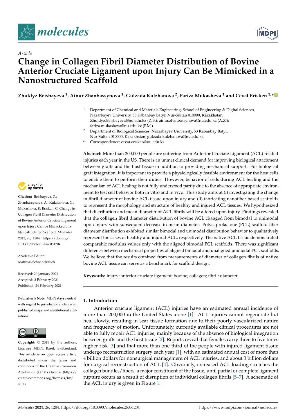 Change in Collagen Fibril Diameter Distribution of Bovine Anterior Cruciate Ligament Upon Injury Can Be Mimicked in a Nanostructured Scaffold