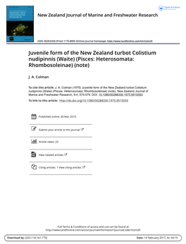 Juvenile Form of the New Zealand Turbot Colistium Nudipinnis (Waite) (Pisces: Heterosomata: Rhombosoleinae) (Note)