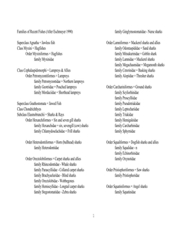 Families of Recent Fishes (After Eschmeyer 1990) Family Ginglymostomatidae - Nurse Sharks