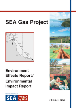 SEA Gas Project