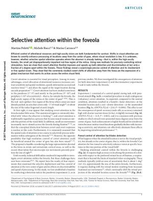 Selective Attention Within the Foveola