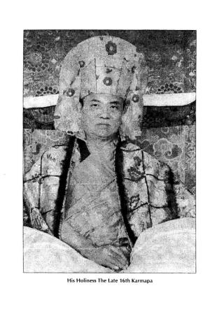 His Holiness the Late 16Th Gyalwa Karmapa (Rangjung Rigpe Dorji)