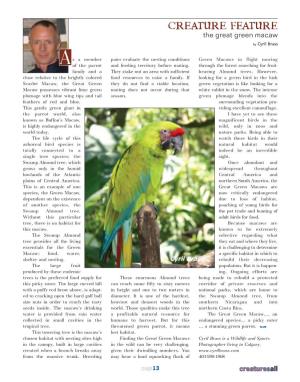 Great Green Macaw Article