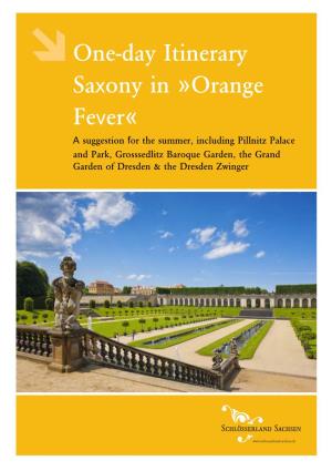One-Day Itinerary Saxony in »Orange Fever«