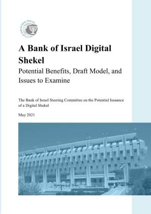 A Bank of Israel Digital Shekel Potential Benefits, Draft Model, and Issues to Examine