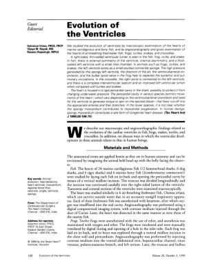 The Ventricles